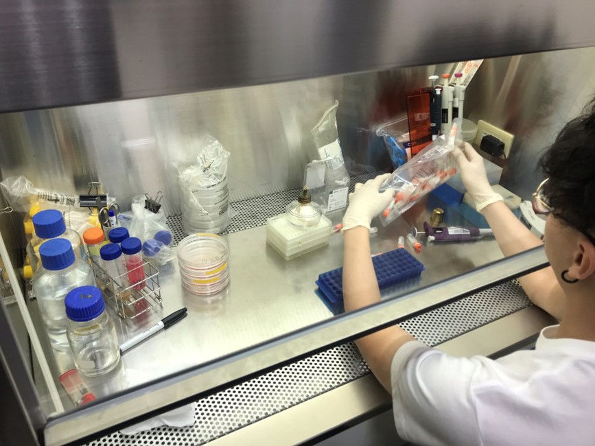 無菌細胞操作台